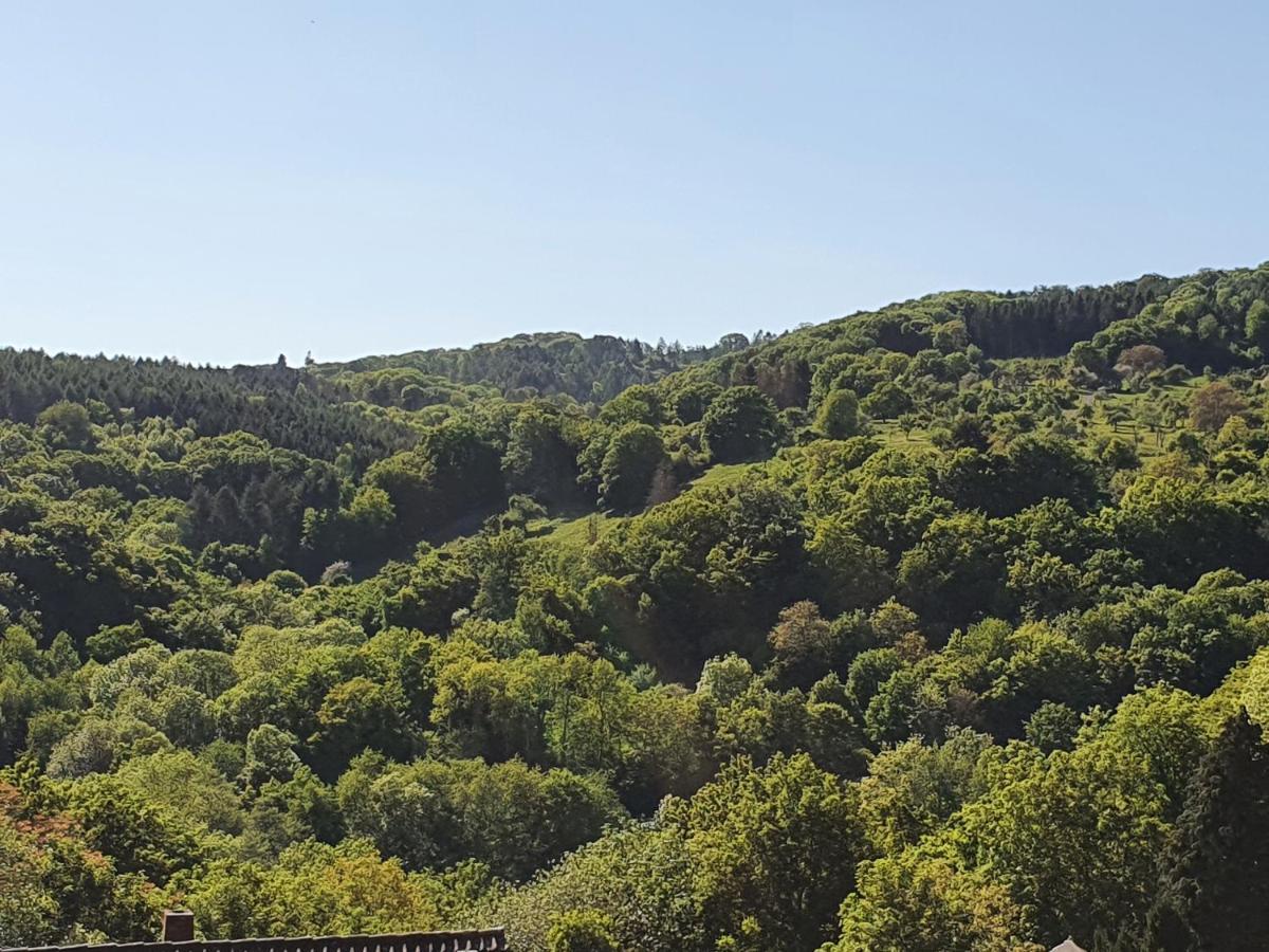 Die Gruene Oase Am Rheinsteig 2 Zkbuwc نيوفيد المظهر الخارجي الصورة